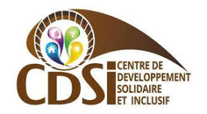 Logo CDSI